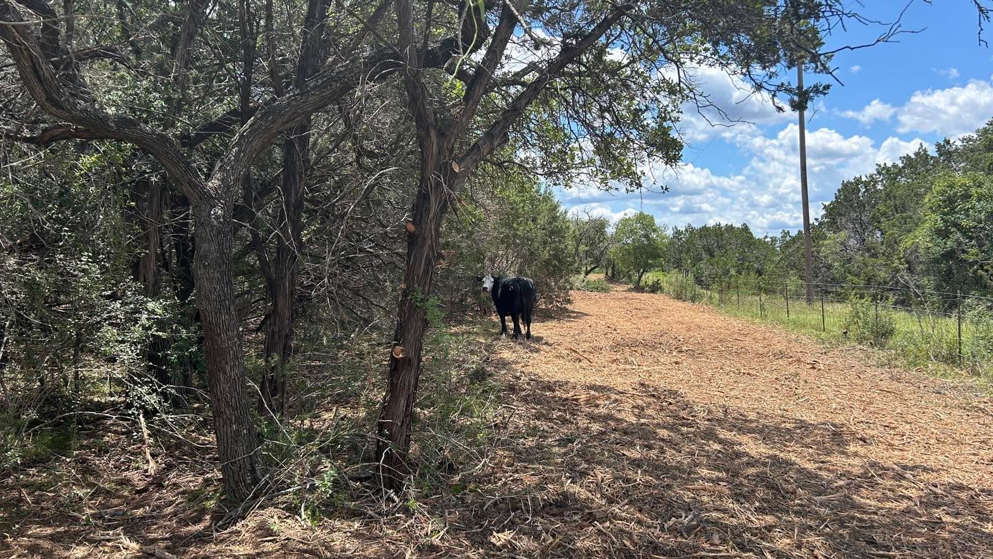 Right Of Way Clearing Right Of Way Clearing
